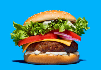 fresh tasty burger