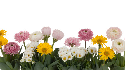Obraz premium Spring Flowers Displayed isolated on a transparent Background