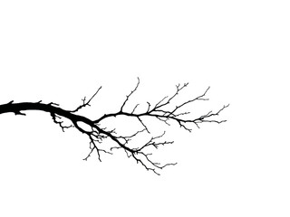 Obraz premium Black silhouette of a bare tree branch on white background, minimalist and artistic. Generative AI