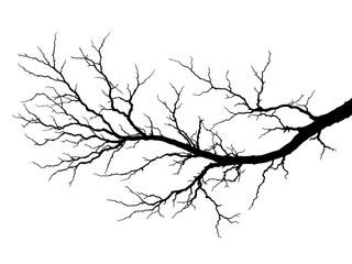 Fototapeta premium Black silhouette of a bare tree branch on white background, minimalist and artistic. Generative AI