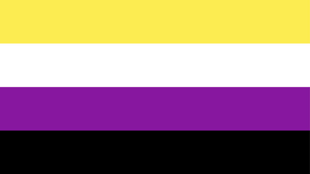 Nonbinary pride flag with four horizontal stripes in yellow, white, purple, and black from top to bottom
