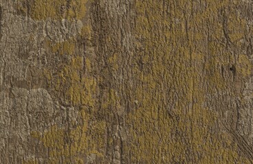 Premium Textured Wood Background High Quality Natural Material