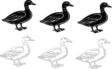 Vector ducks collection, black silhouettes and line art of wild birds.
