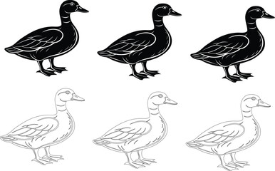 Vector ducks collection, black silhouettes and line art of wild birds.