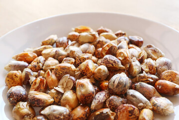 Closeup of Toasted Andean Chulpe Corn Kernel with Salt Call Cancha