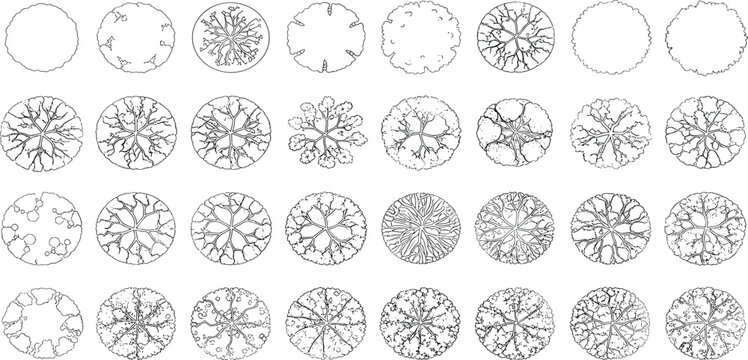 Tree top view outline collection, diverse foliage patterns, ideal for architectural plans, landscape designs, urban planning botanical illustrations, and garden