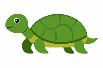 Obraz premium turtle