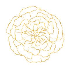 Elegant gold carnation flower outline vector illustration isolated on white background