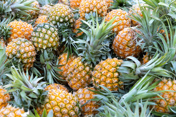 Fresh fragrant pineapples from Hainan, China