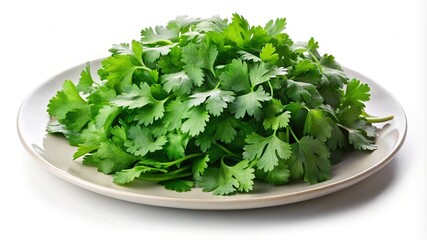 Fresh bunch of cilantro piled high on a plate ready for use