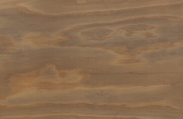 Premium Wooden Pattern – High Quality Wood Texture for Architectural Projects
