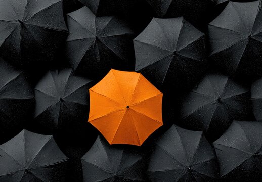 A single vibrant orange umbrella stands out amongst a multitude of dark gray umbrellas, creating a striking contrast