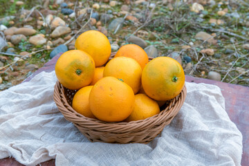 Fresh fruit, sugar-coated oranges, packed in a fruit basket