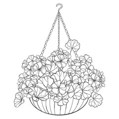 Bouquet with outline Geranium or Cranesbills flower in flowerpot in black isolated on white background. 