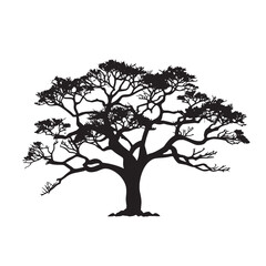 Obraz premium Hand Drawn Cotton Tree Silhouette