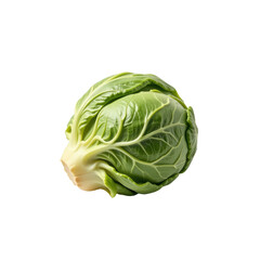 Fototapeta premium Fresh green cabbage with tightly packed, crisp leaves.