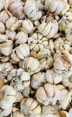 Garlic Bulbs Fresh Harvest, Culinary Delight