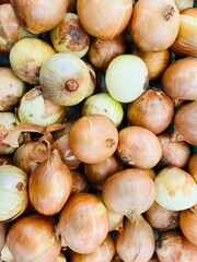 Onions Harvest, Close-up View of Bulbs