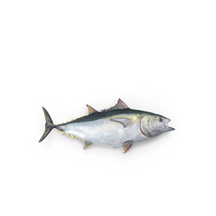 Tuna fish isolated on transparent background, realistic marine seafood illustration, front view
