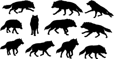 Obraz premium Silhouette of a wolf vector illustration isolated on white background 