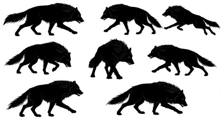 Silhouette of a wolf vector illustration isolated on white background
