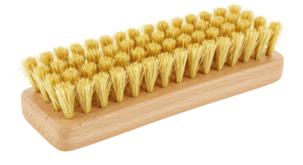 Isolated Shoe Brush