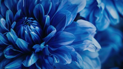 Exquisite Blue Flower Background Posters: Delicate Blossoms of Hydrangeas, Irises, and Forget-Me-Nots in Soft Pastel and Vibrant Royal Blues, Paired with Botanical Textures and Whimsical Layouts