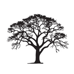 Cotton Tree Silhouette Vector