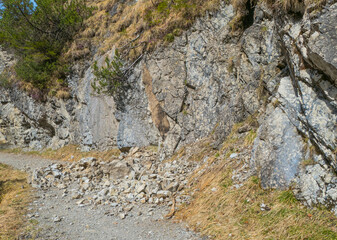 Felssturz Felslawine Gerölllawine 