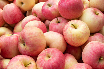 Fresh red Fuji apples neatly stacked