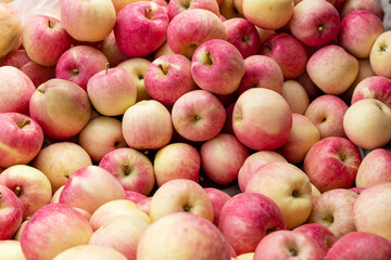 Fresh red Fuji apples neatly stacked