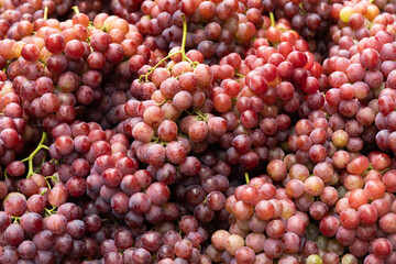 A pile of fresh purple-red grapes and fruits
