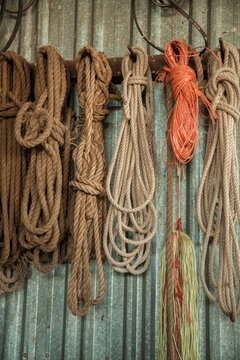 Old rope hung on the wall of a shed