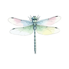 Dragonfly Isolated on Transparent Background – Watercolour Illustration
