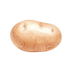 Fresh potato Isolated on Transparent Background – Watercolour Illustration