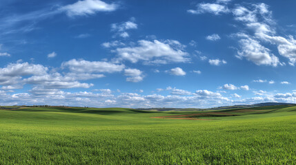 Vast Green Field Under Blue Sky with Fluffy Clouds – Scenic Landscape