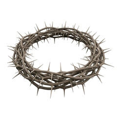 Fototapeta premium Thorns woven into an intimidating crown