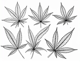 cannabis leaf vector
