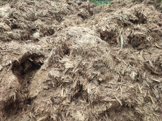 Bagasse, a sugar factory byproduct, remains underutilized. Yet, it holds high potential as an eco-friendly silica source for sustainable industrial innovation.