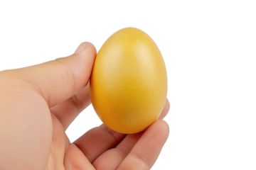 hand gently holding golden egg isolated on white background