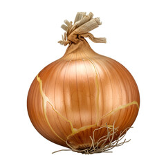 Illuminated Onion A golden orb in darkness