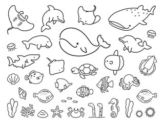 海の生き物 © GRACE