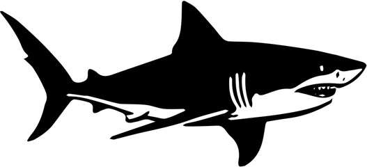 shark vector illustration