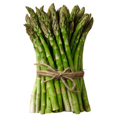 Freshly harvested asparagus tied with twine, showcasing vibrant green color, ready for cooking