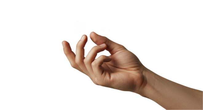 Isolated Hand Gesture Holding Offering Presenting Transparent Background