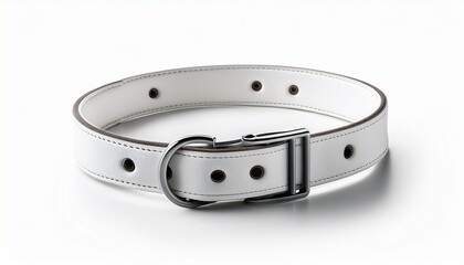 white dog collar with durable plastic buckle blank and isolated for easy mockup use