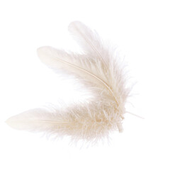 Plastic feather soft cream on transparent background transparent background isolated png stock
