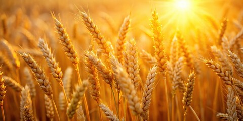 Fototapeta premium Wheat stalks aglow in warm sunlight, their golden hue radiating an otherworldly light , golden wheat, glowing