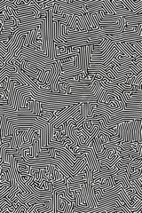 Geometric Black and white line art pattern with small, dense lines forming an abstract maze or network on a pure background of the same color. 