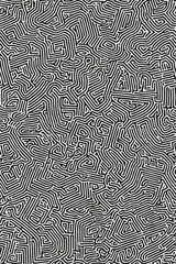 Geometric Black and white line art pattern with small, dense lines forming an abstract maze or network on a pure background of the same color. 